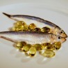 Fishy Research