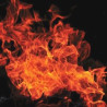 A Burning Question – Harmful GERD Treatment