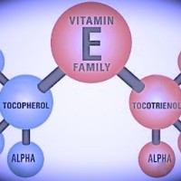 Vitamin E and Dementia