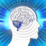 More About the Brain and Electromagnetic Fields