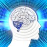 More About the Brain and Electromagnetic Fields